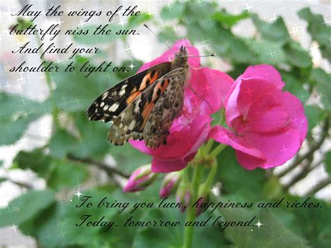 Mothers Quotes And Beautiful Butterfly. QuotesGram