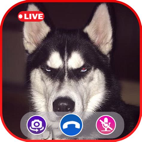 Call Video Wolf Simulator - Prank Call Apps | Pricepulse