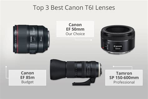 7 Best Lenses for Canon Rebel T6i in 2024