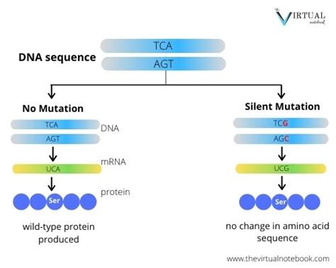 Types of mutation, defintion, significance - The Virtual Notebook