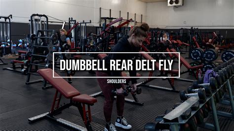 DUMBBELL REAR DELT FLY - Physique Coaching