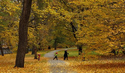 Top 3 Public Parks in Oslo - Oslo Blog