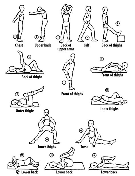 Stretching Exercises Diagrams Pre Workout Stretches For Runn