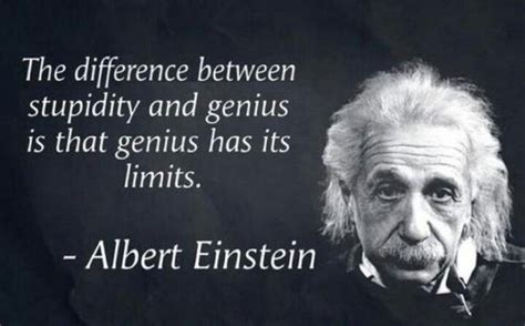 Stupidity knows no bounds | Einstein quotes, Albert einstein quotes, Wise quotes