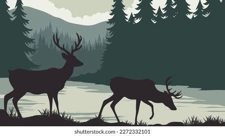 Silhouette Two Deer Grazing Grass Near Stock Vector (Royalty Free) 2272332101 | Shutterstock