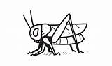 A cricket On The Ground Illustration Colorless Cartoon For Drawing And  sketch template