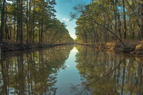 Caddo Lake Texas | Maciej Kraus | Flickr