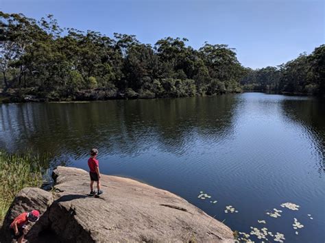 Lake Parramatta Reserve - Swimming, Bushwalks, Playground, Cafe | North ...