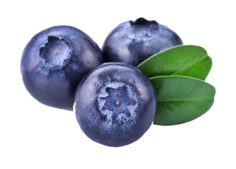 Blueberries PNG transparent image download, size: 755x540px