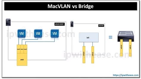 MacVLAN vs Bridge: Understand the difference - IP With Ease