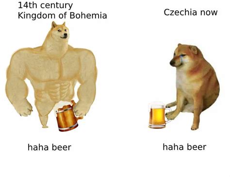 35 Of The Best Swole Doge And Cheems Memes We Had Time To Find