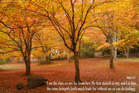 Fall Christian Wallpaper