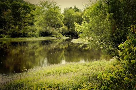 river, Trees, Landscape Wallpapers HD / Desktop and Mobile Backgrounds