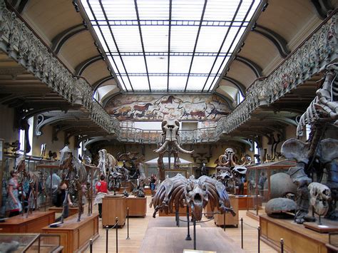 museums - Where can I see a reasonably complete skeleton of a Mammoth? - Travel Stack Exchange