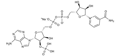 Nadp Structure