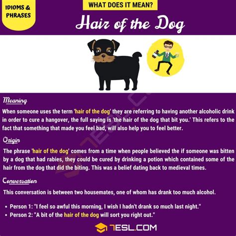 "Hair of the Dog" Meaning, Origin and Examples • 7ESL