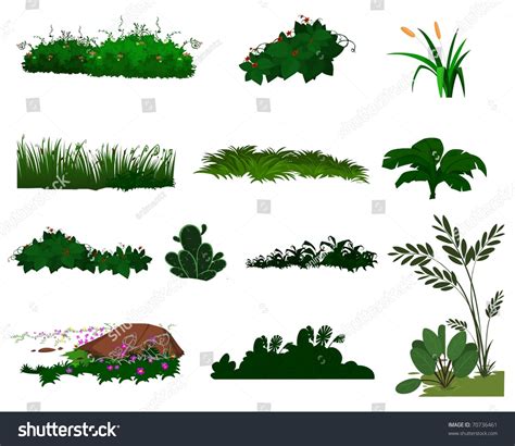 Set Different Types Grass Bushes Stock Illustration 70736461 - Shutterstock