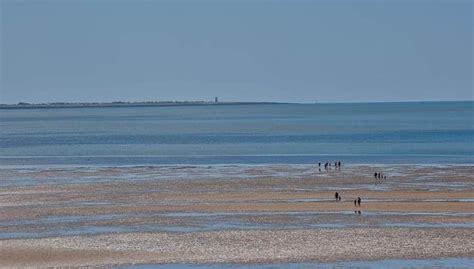 Best Beaches in Wexford with Discover Ireland