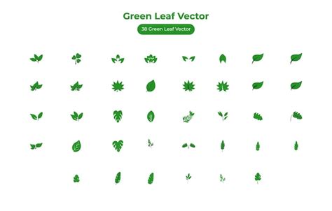 Premium Vector | Green leaf vector element