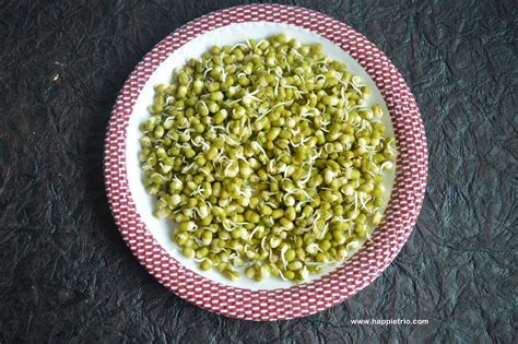 Green Gram Sprouts | Mung Bean Sprouts | How to sprout Green Gram ~ Cook with Sharmila