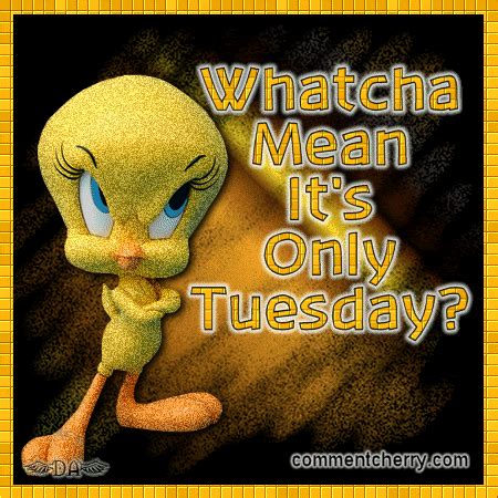 commentcherry's Animated Gif | Its only tuesday, Good morning tuesday, Tuesday greetings