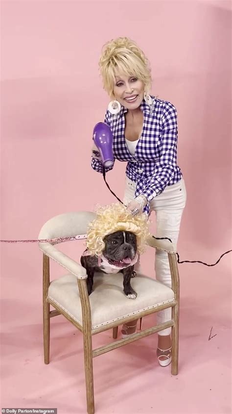 THECOCONUTWHISPERER : Dolly Parton debuts new fashion line "Doggy Parton", Including Wigs, for Dogs