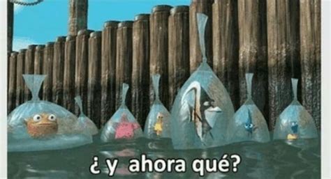 Crea tu meme | Buscando a nemo, Buscando a dory, Pixar