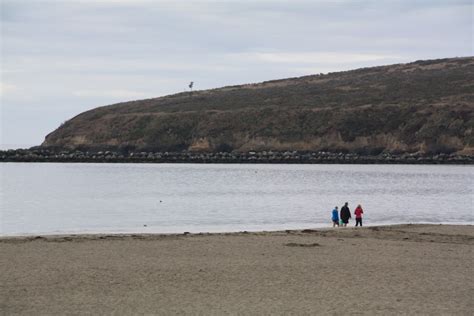 Doran Beach in Bodega Bay, CA - California Beaches