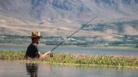 Pike Fishing: Techniques, Bait and Gear - TRIZILY.COM