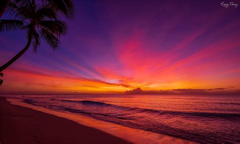 10 Beautiful Sunset Photos that Will Make You Want to Visit Barbados ...