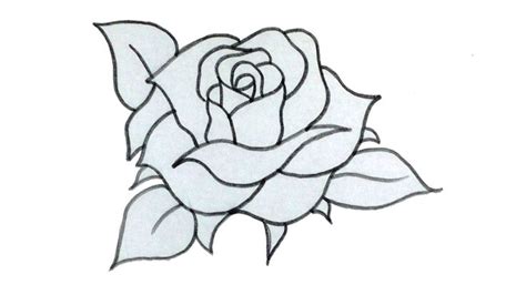 Easy Rose Sketch Tutorial for Beginners