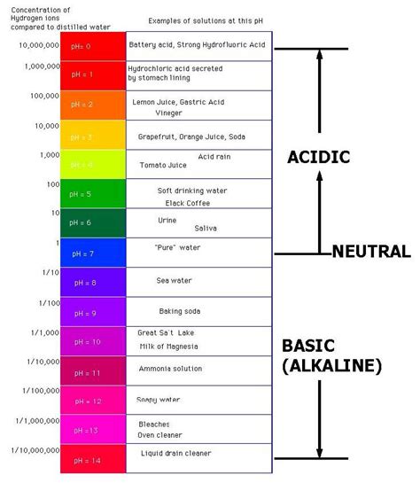 acids and bases on emaze