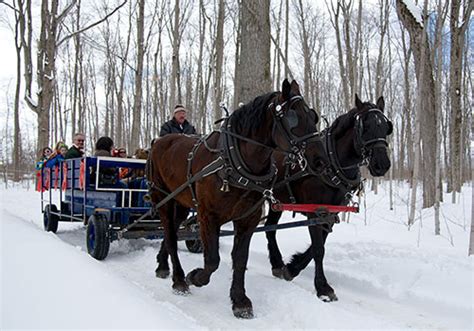 Horse-Drawn Wagon Rides | Shaws Catering