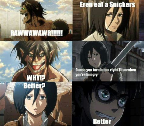 Mikasa memes | Attack On Titan Amino