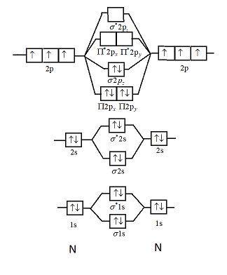 42 Ne2 Molecular Orbital Diagram - Diagram Resource