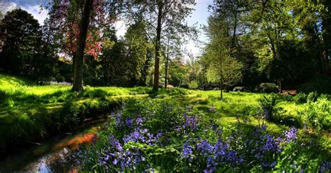 Bournemouth Upper Gardens - Bournemouth