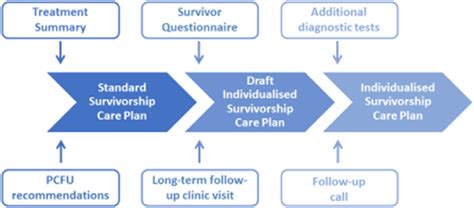 Development timeline of the individualised Survivorship Care Plan ...