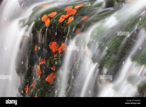 Little falls [waterfall] Stock Photo - Alamy