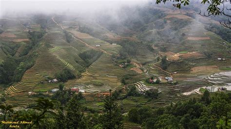 Sapa Rice Terraces | Terrace, Rice terraces, Outdoor