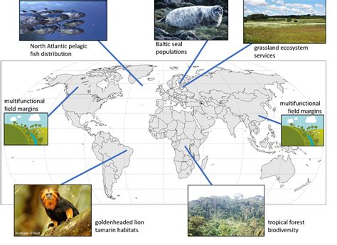 Protecting biodiversity from climate change | VITO