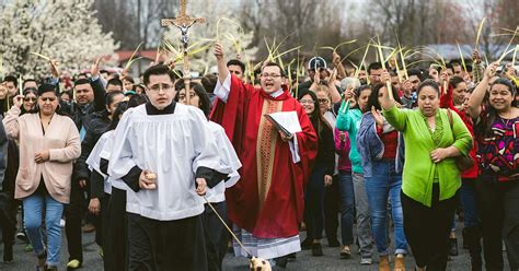 Enter into Holy Week on Palm Sunday | DOLR.org