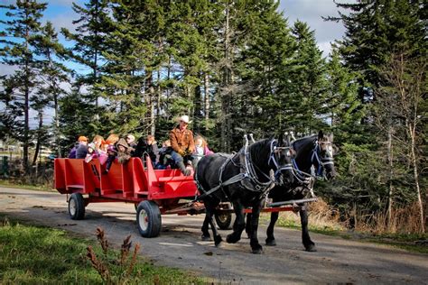 17 of the Best Things To Do in Halifax With Kids - The Family Vacation Guide