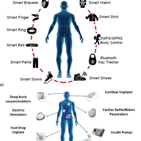 Smart biomedical measurement devices: (a) smart wearable measurement ...