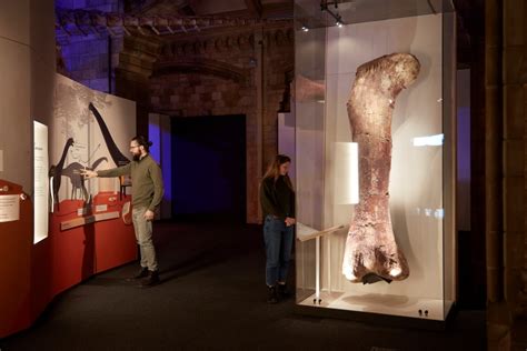 Natural History Museum Titanosaur exhibition unfolds “like a pop-up book” - Design Week