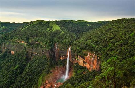 Living Root Bridges Of Cherrapunji • The Mysterious India