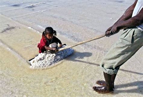 The making of salt in India - Rediff.com Business