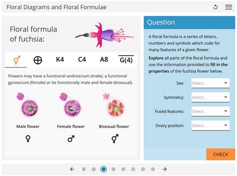 LearnSci LabSim: Floral Diagrams and Floral Formulae