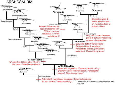 GEOL 104 Dragons of the Sea & Air: Pterosaurs and Mesozoic Marine Reptiles