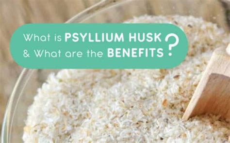 Understanding What Psyllium Husk Is and Its Benefits - FibreFirst ...