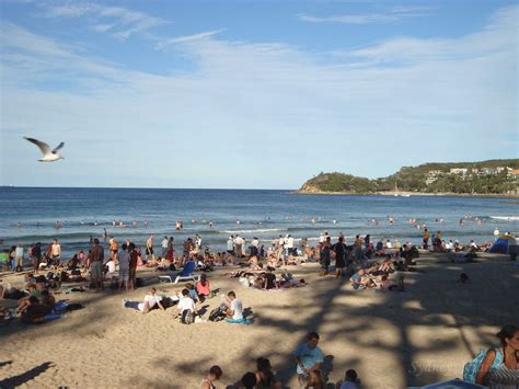 Manly Beach NSW Photos | | All About Sydney Australia